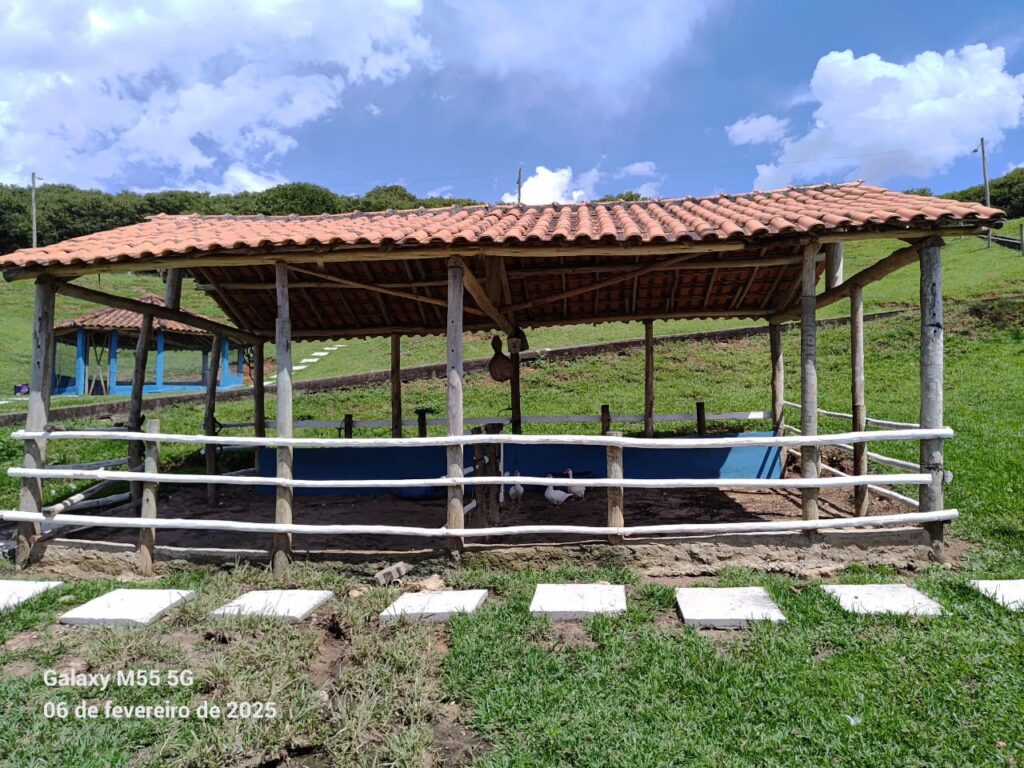 Fazenda 2